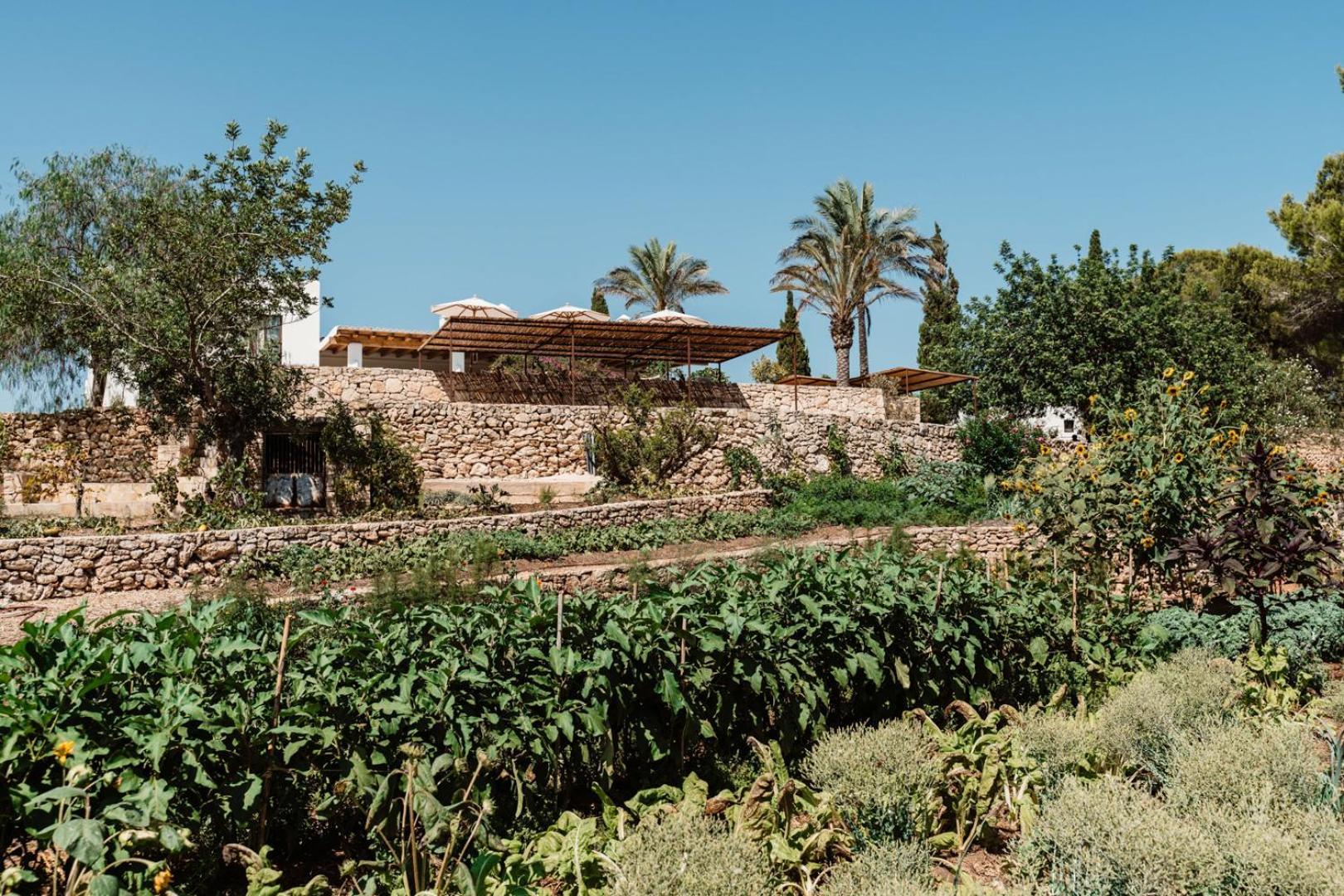 Aguamadera Villa Санта Еулалия дел Рио Екстериор снимка