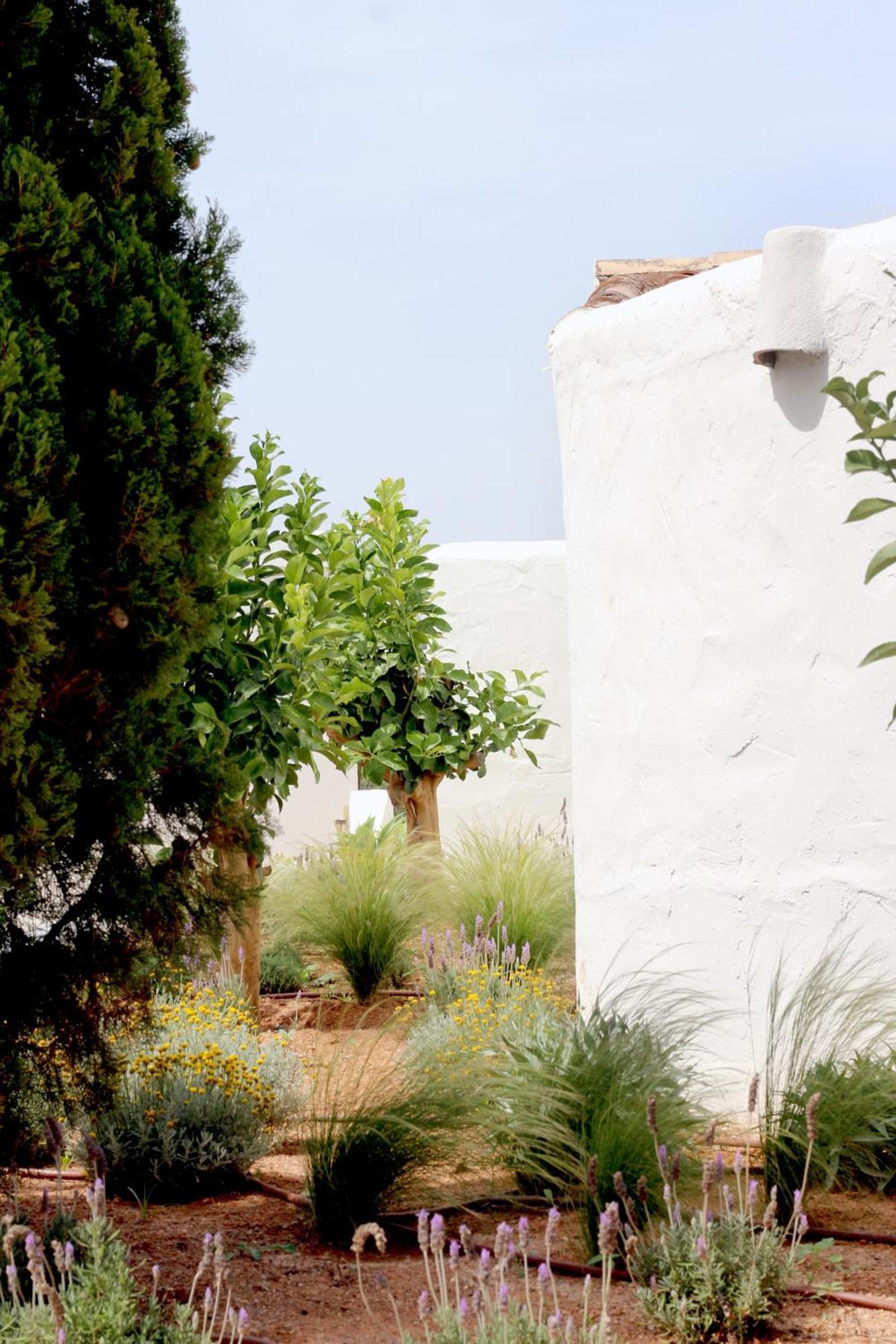 Aguamadera Villa Санта Еулалия дел Рио Екстериор снимка